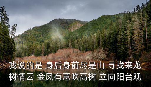 成都市26幼龍樹(shù)，我說(shuō)的是 身后身前盡是山 尋找來(lái)龍樹(shù)情云 金鳳有意吹高樹(shù) 立向陽(yáng)臺(tái)觀