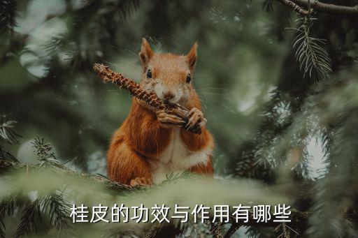  桂皮的功效與作用有哪些