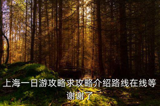 上海一日游攻略求攻略介紹路線在線等謝謝了