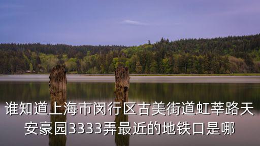 誰知道上海市閔行區古美街道虹莘路天安豪園3333弄最近的地鐵口是哪