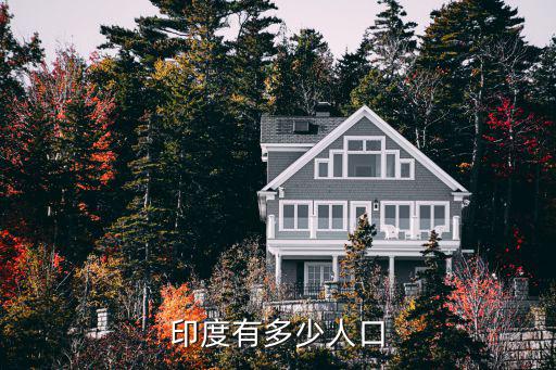 印度有多少人口