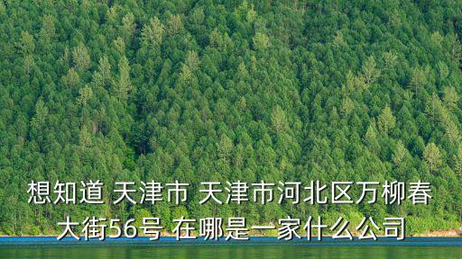 想知道 天津市 天津市河北區(qū)萬柳春大街56號 在哪是一家什么公司