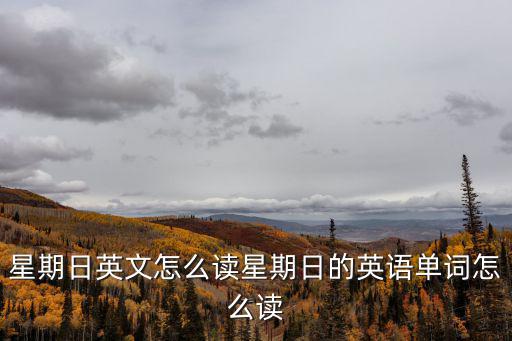 sunday怎么讀
