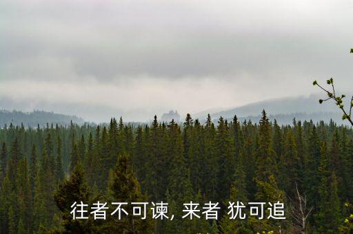  往者不可諫, 來者 猶可追