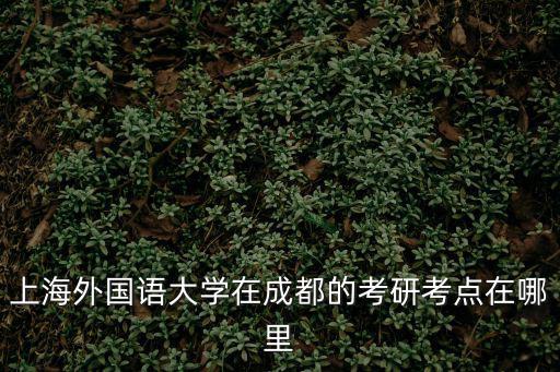 上海外國(guó)語(yǔ)大學(xué)在成都的考研考點(diǎn)在哪里