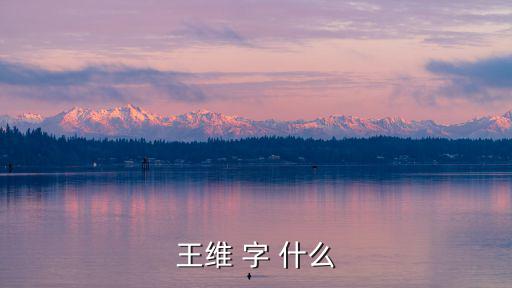 王維 字 什么