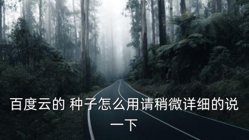 百度云的 種子怎么用請稍微詳細的說一下