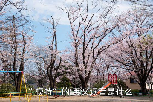 模特的英文,超模模型設計是cc重要核心