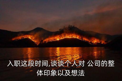 對公司的感受,一文讀懂!投資人士如何選擇職業(yè)道路