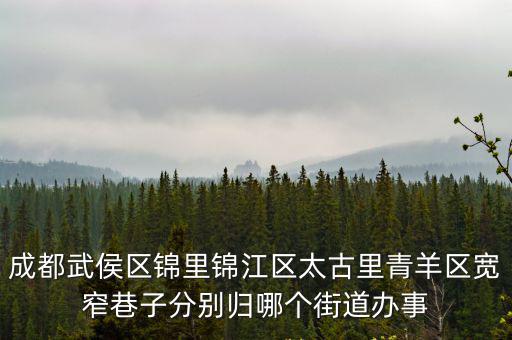 成都武侯區(qū)錦里錦江區(qū)太古里青羊區(qū)寬窄巷子分別歸哪個(gè)街道辦事