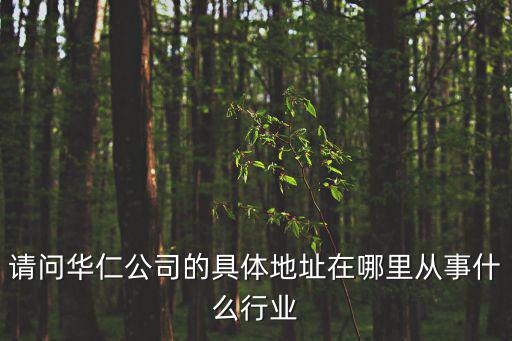天津市華仁科技有限公司，天津創(chuàng)新大廈都有哪些企業(yè)