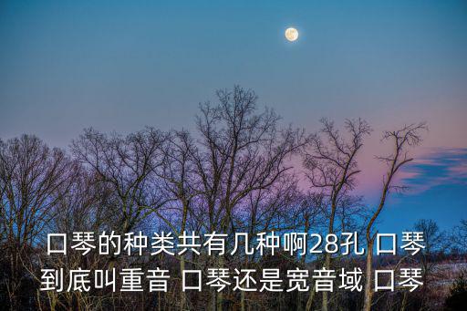 口琴的種類,布魯斯口琴又稱藍調口琴