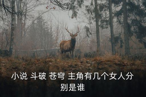 斗破蒼穹主角,斗皇之爭的終極對決