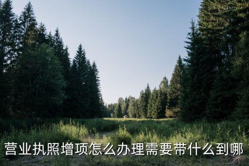 營業(yè)執(zhí)照增項(xiàng)怎么辦理需要帶什么到哪