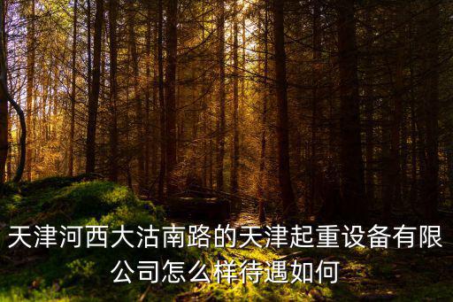 天津河西大沽南路的天津起重設備有限公司怎么樣待遇如何