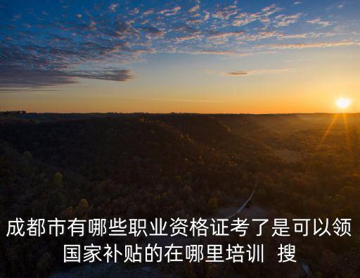 成都市有哪些職業(yè)資格證考了是可以領(lǐng)國家補(bǔ)貼的在哪里培訓(xùn)  搜