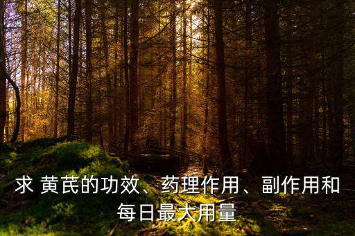 黃芪顆粒的功效與作用,黃芪顆粒是中成藥嗎?其實是一款保健品