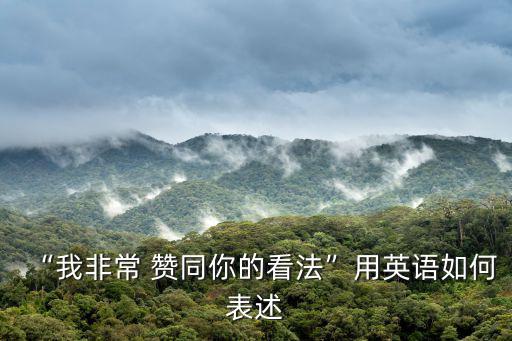 “我非常 贊同你的看法”用英語如何表述