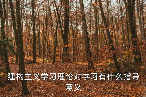  建構主義學習理論對學習有什么指導 意義