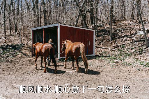 順心順意,一帆風順順心意大利