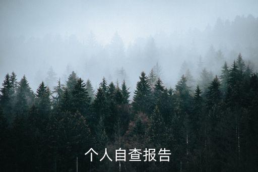 個人自查報告