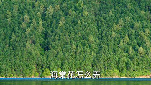 海棠花怎么養(yǎng)，盆栽海棠花怎么養(yǎng)