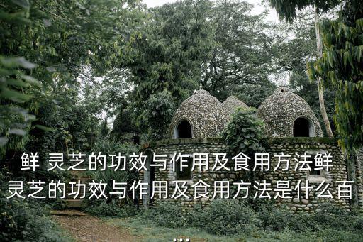 鮮 靈芝的功效與作用及食用方法鮮 靈芝的功效與作用及食用方法是什么百...