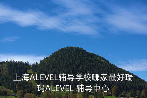 上海ALEVEL輔導學校哪家最好瑞瑪ALEVEL 輔導中心