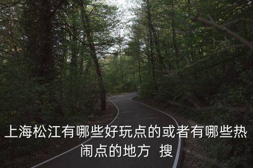 上海松江有哪些好玩點的或者有哪些熱鬧點的地方  搜