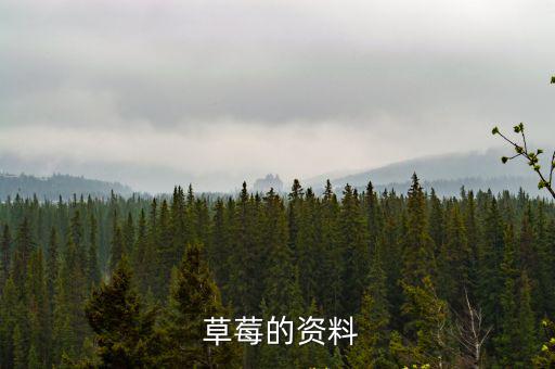  草莓的資料