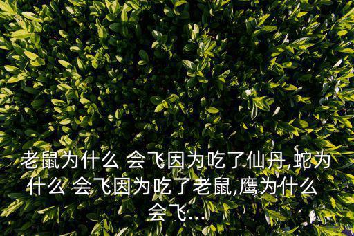 蛇為什么會飛,鼠標會飛但飛蛇的飛行原理是什么?