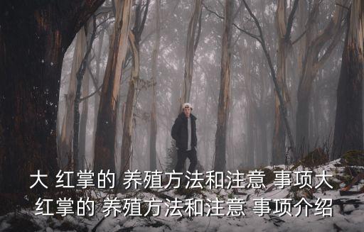 大 紅掌的 養(yǎng)殖方法和注意 事項大 紅掌的 養(yǎng)殖方法和注意 事項介紹
