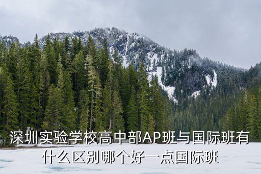 深圳實(shí)驗(yàn)學(xué)校高中部AP班與國際班有什么區(qū)別哪個(gè)好一點(diǎn)國際班