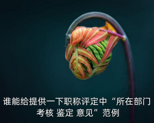 考核鑒定意見,基層考核意見:陳詩樺同志政治立場堅定立足實際