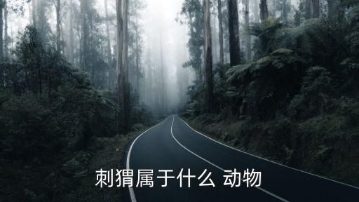 刺猬屬于什么 動物