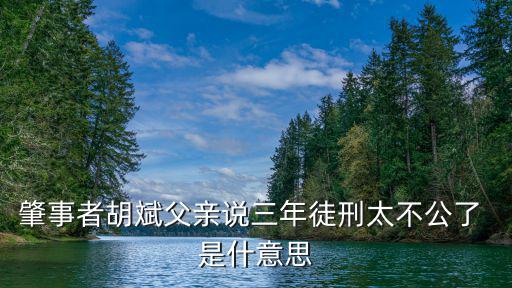 2020年成都市胡斌，肇事者胡斌父親說(shuō)三年徒刑太不公了 是什意思