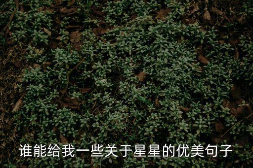 誰能給我一些關于星星的優美句子