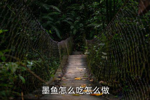  墨魚怎么吃怎么做