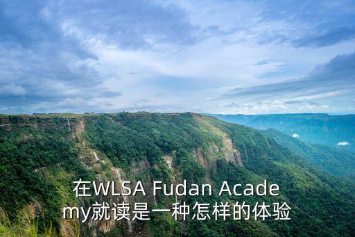 wlsa復旦附中國際學校，2017屆復旦附中高一哪一個班級最好