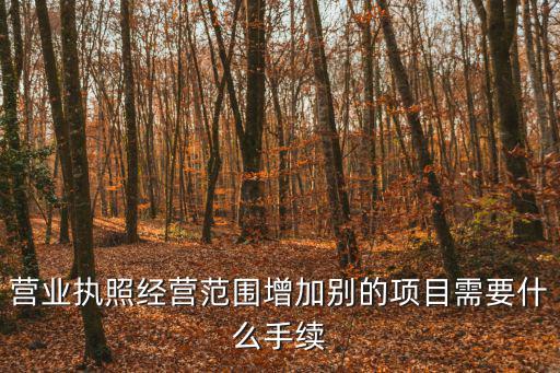 營業執照經營范圍增加別的項目需要什么手續