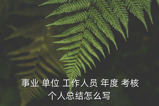  事業 單位 工作人員 年度 考核個人總結怎么寫
