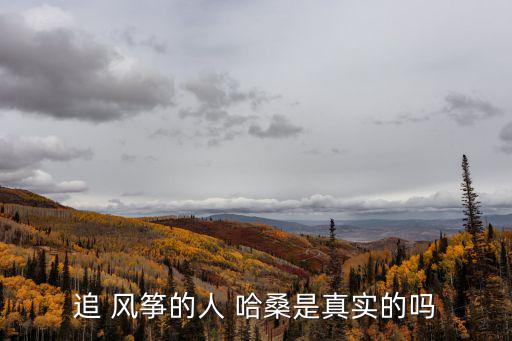追 風箏的人 哈桑是真實的嗎