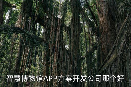 智慧博物館APP方案開發公司那個好