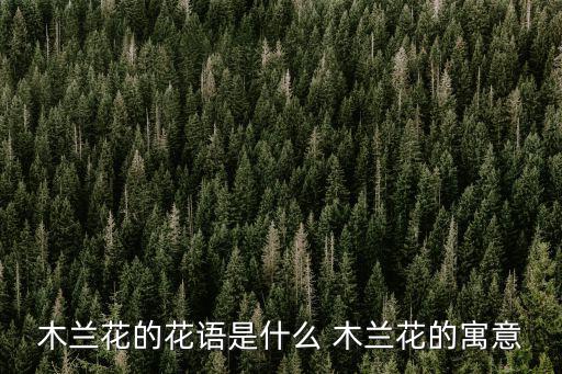 木蘭花語，木蘭花的花語是什么 木蘭花的寓意