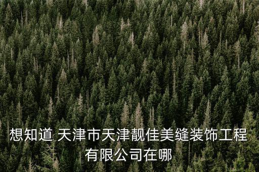 想知道 天津市天津靚佳美縫裝飾工程有限公司在哪