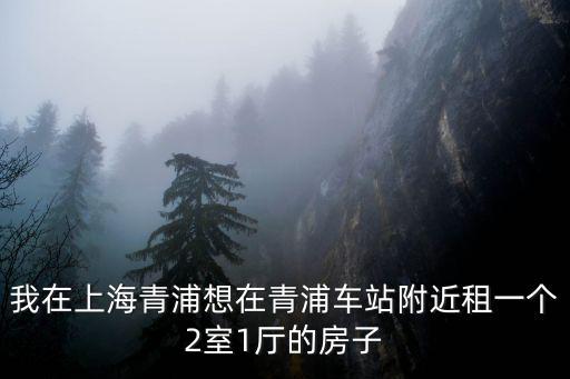 我在上海青浦想在青浦車站附近租一個2室1廳的房子