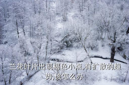 蘭花黑斑病圖片,蘭花出現(xiàn)黑斑病應(yīng)盡快切去受損葉片
