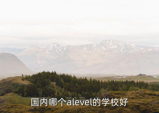 國內哪個alevel的學校好