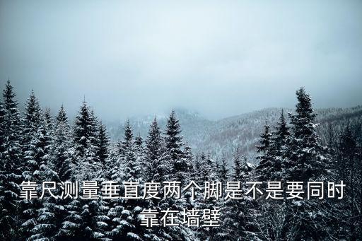  靠尺測量垂直度兩個腳是不是要同時靠在墻壁