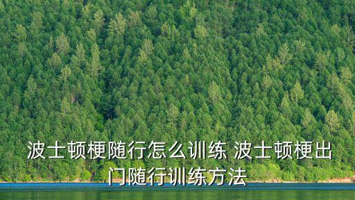 波士頓梗,走出波士頓梗訓練方法